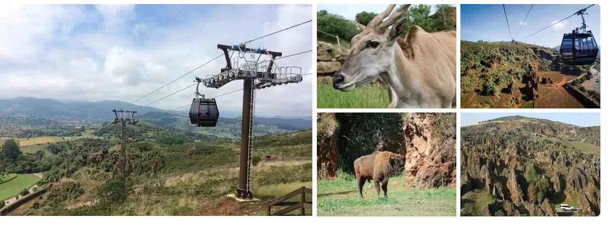 Parque de la Naturaleza de Cabárceno con telecabina y animales